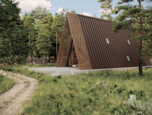 camera-2-gigapixel-standard-width-3000px